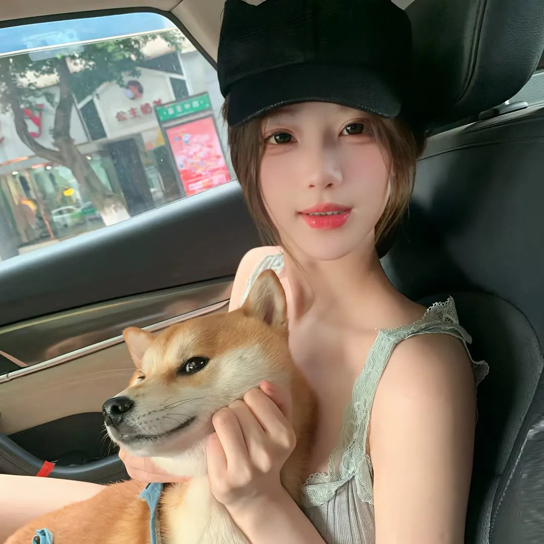 奇兵神犬